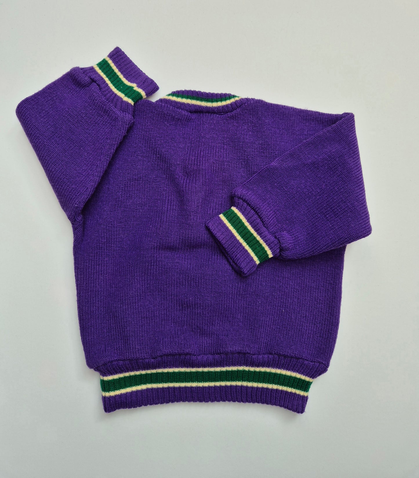 Paarse trui met ijshockeyfiguur – maat 80 | 9 - 12 maanden