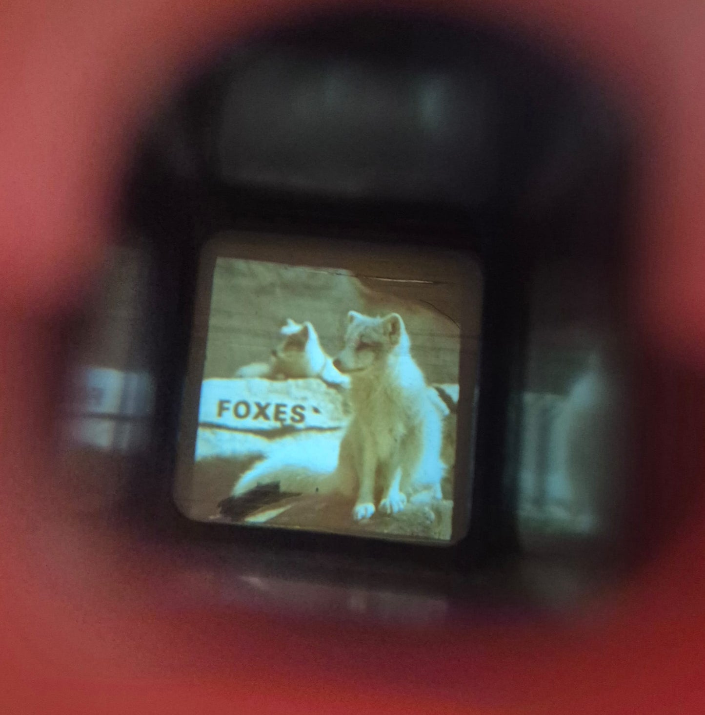 Fisher Price Pocket Camera uit 1974