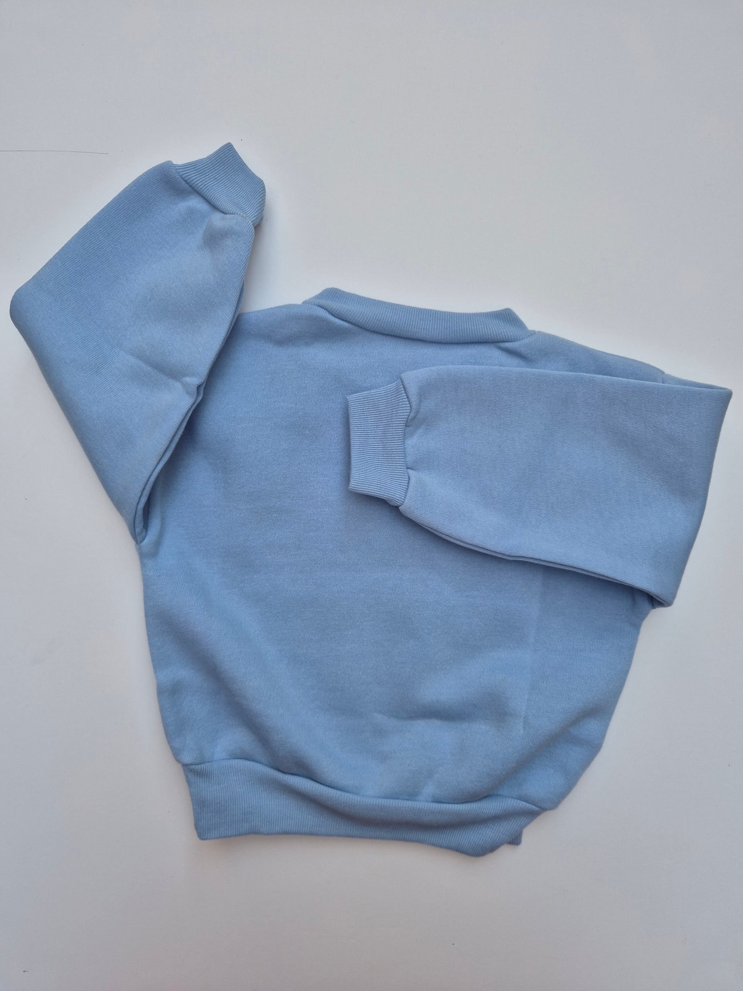 Lichtblauwe trui The Speedy Rabbit – maat 80 | 12 - 18 maanden