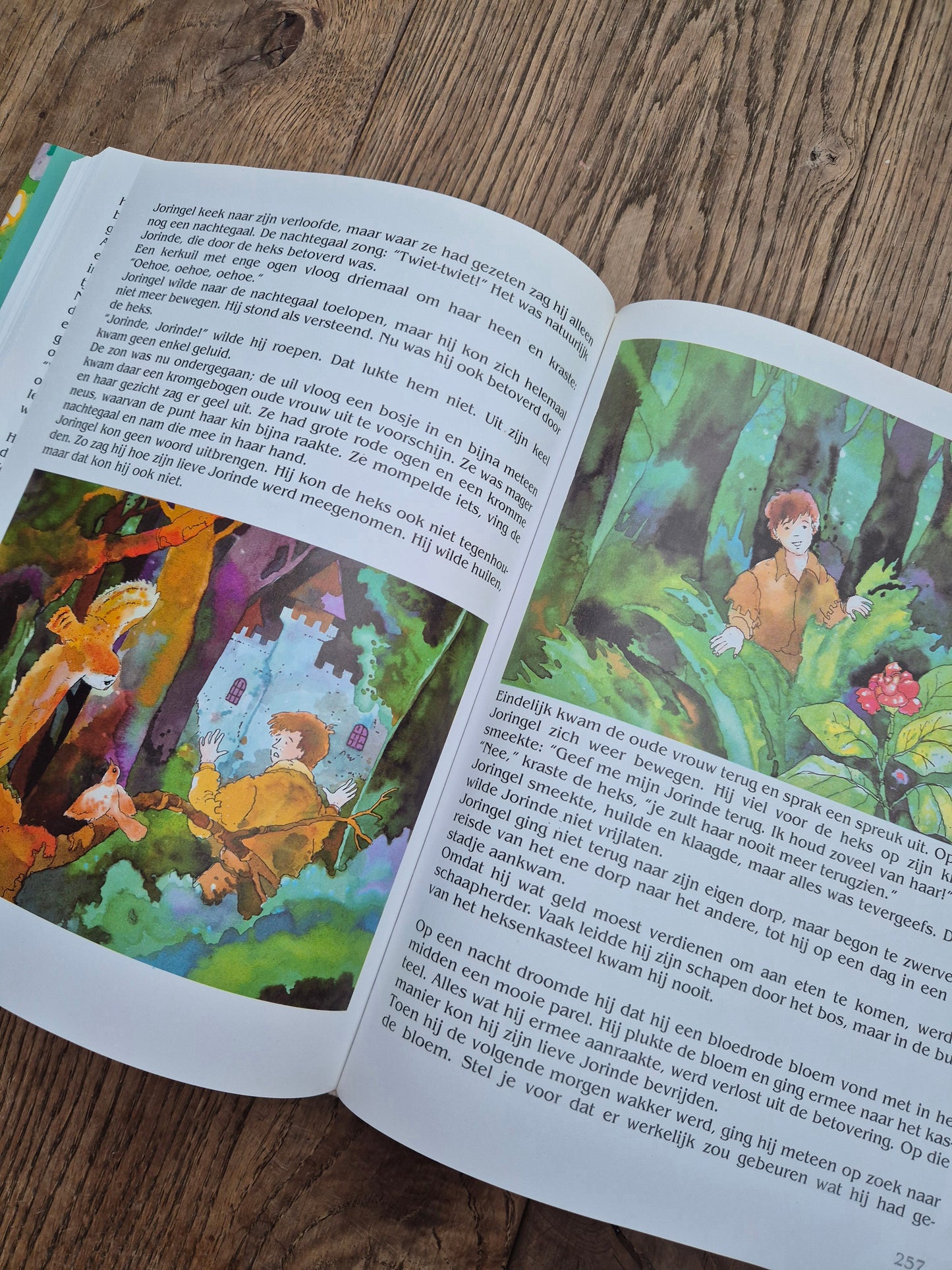 De Sprookjes van Grimm (hardcover)