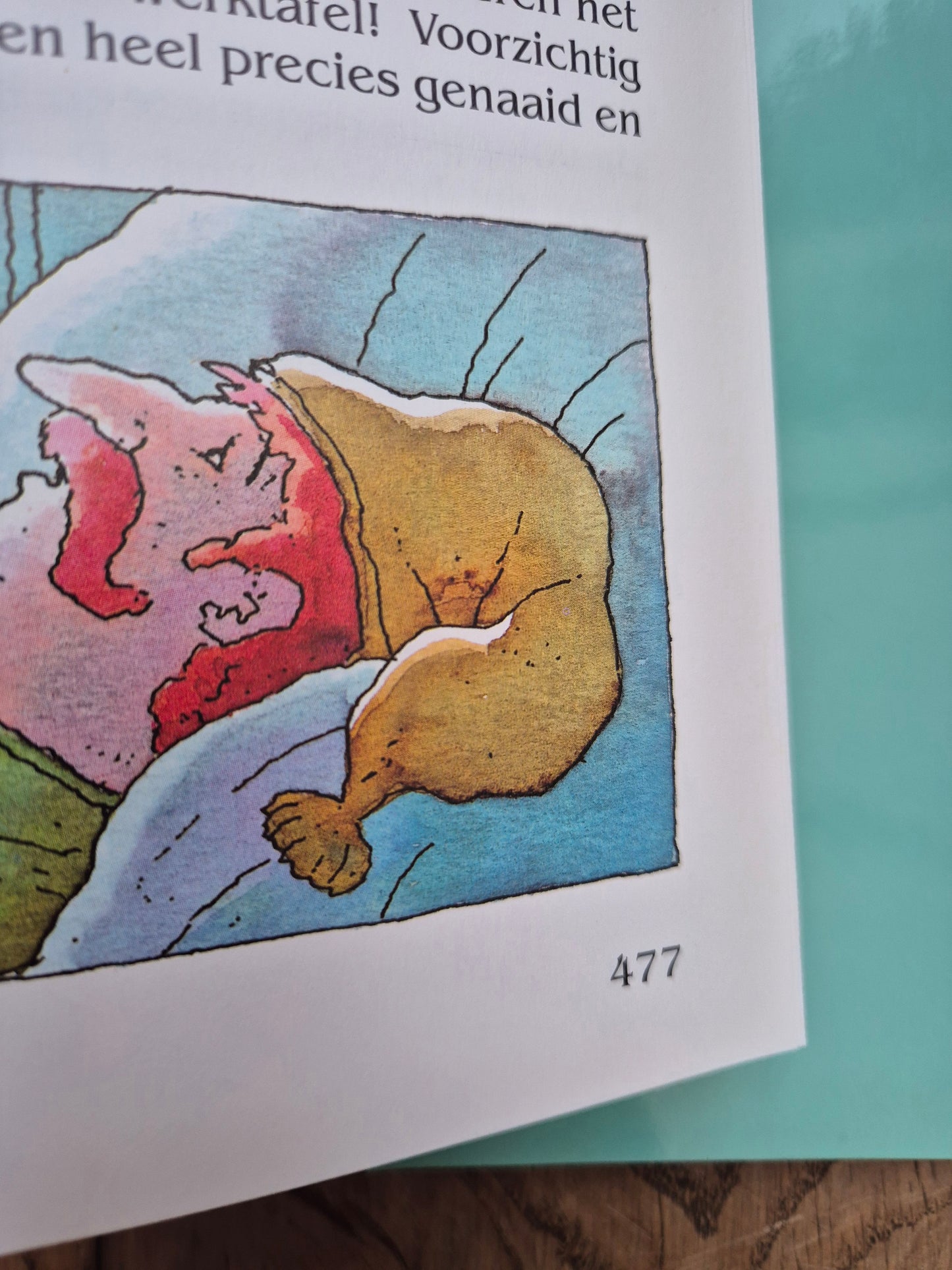 De Sprookjes van Grimm (hardcover)