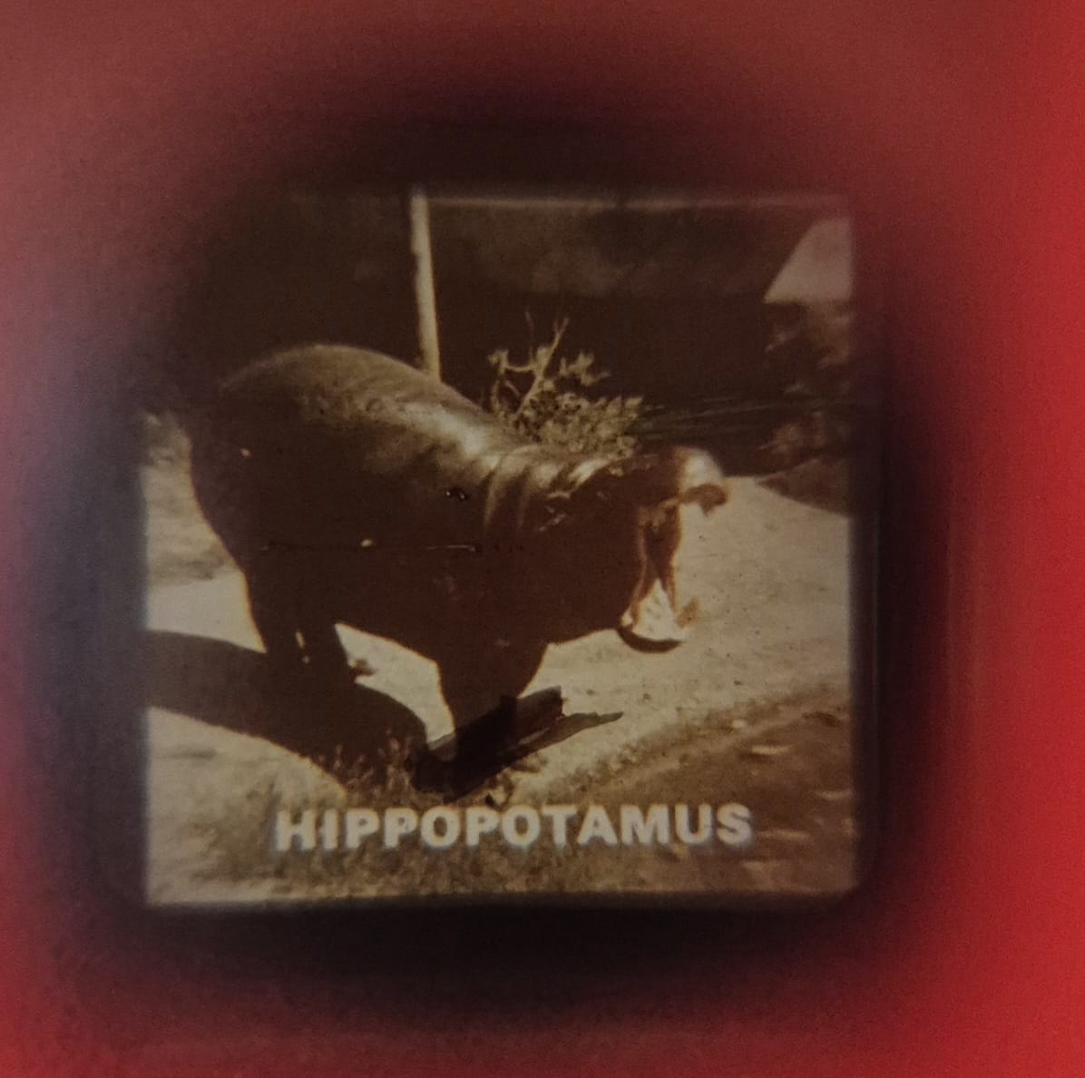 Fisher Price Pocket Camera uit 1974