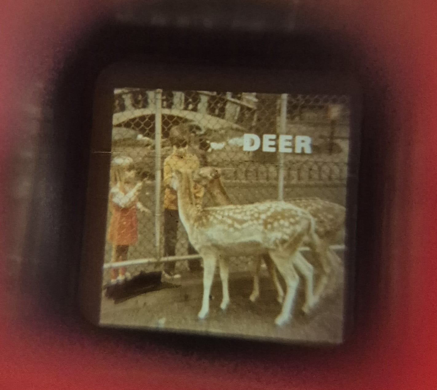 Fisher Price Pocket Camera uit 1974